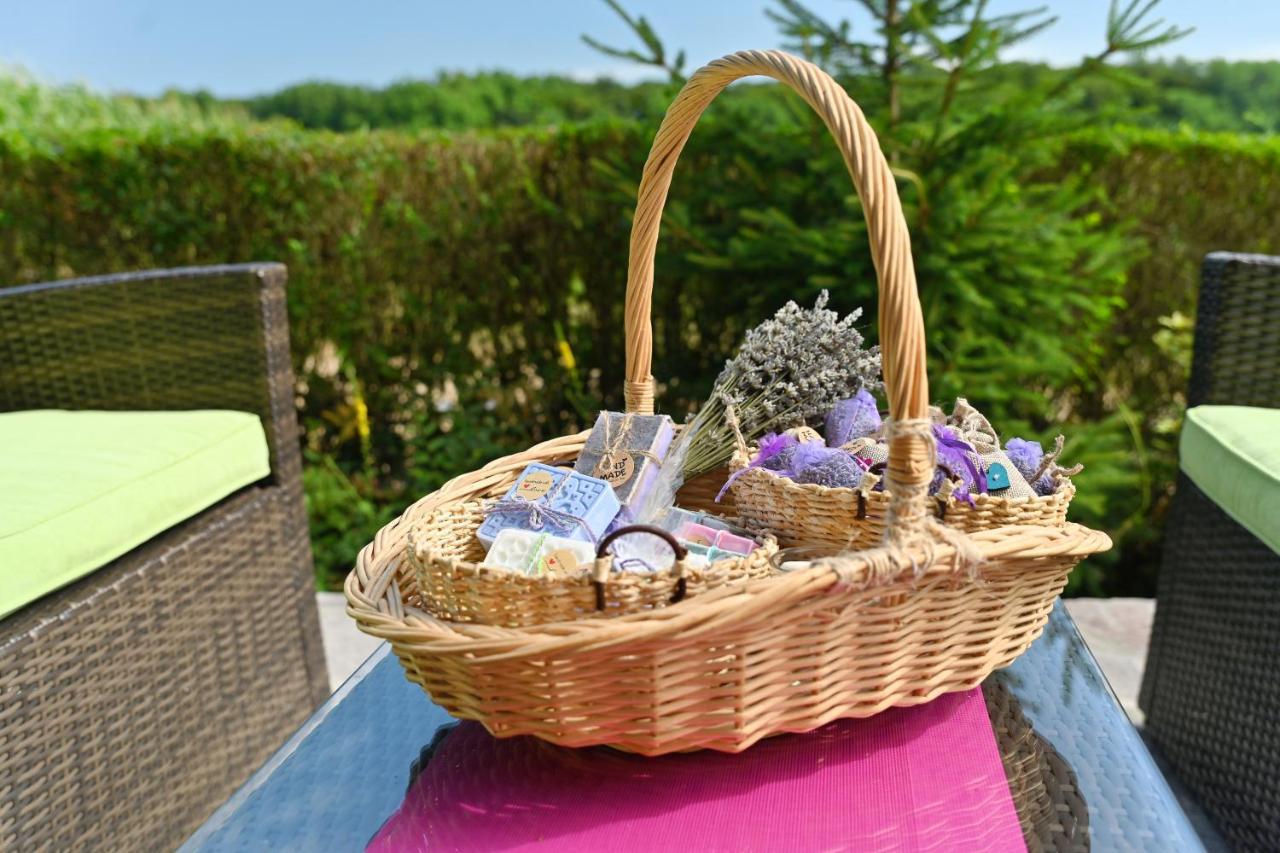 Lavanda Land - Villa Tanya Mreznica Donji Zvecaj المظهر الخارجي الصورة
