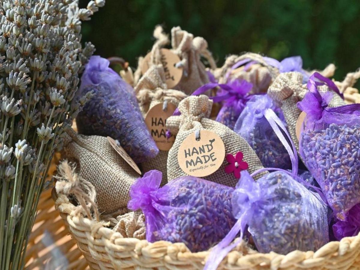 Lavanda Land - Villa Tanya Mreznica Donji Zvecaj المظهر الخارجي الصورة