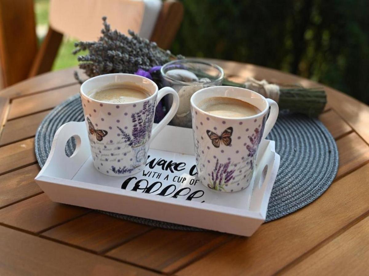 Lavanda Land - Villa Tanya Mreznica Donji Zvecaj المظهر الخارجي الصورة